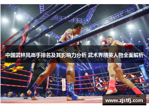 中国武林风高手排名及其影响力分析 武术界精英人物全面解析