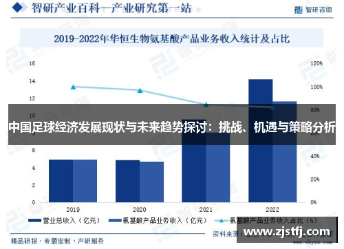 中国足球经济发展现状与未来趋势探讨：挑战、机遇与策略分析