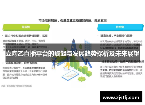 立陶乙直播平台的崛起与发展趋势探析及未来展望