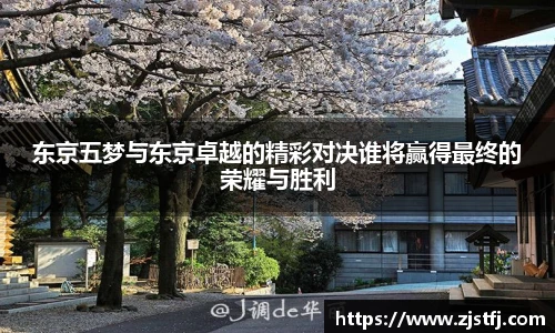 J9集团官方网址