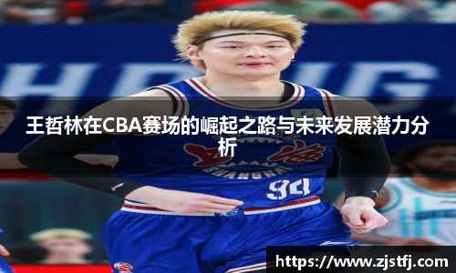 王哲林在CBA赛场的崛起之路与未来发展潜力分析